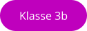 Klasse 3b