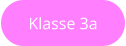 Klasse 3a